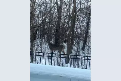 1020 Fernbrook Lane N, Plymouth, MN 55447 - Photo 38