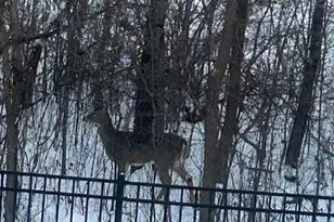 1020 Fernbrook Ln N, Plymouth, MN 55447 - Photo 38