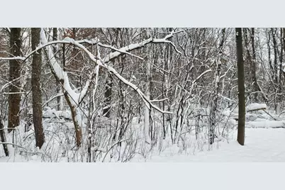 Tbd 50th Street, Somerset, WI 54025 - Photo 4