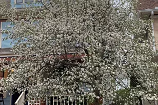 937 Laurel Ave, Saint Paul, MN 55104 - Photo 46