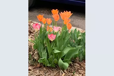 937 Laurel Avenue, Saint Paul, MN 55104 - Photo 48