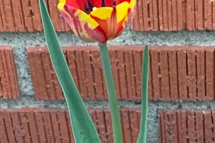 937 Laurel Ave, Saint Paul, MN 55104 - Photo 50