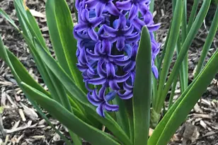 937 Laurel Ave, Saint Paul, MN 55104 - Photo 56