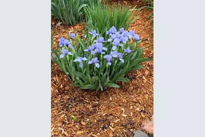 937 Laurel Avenue, Saint Paul, MN 55104 - Photo 52