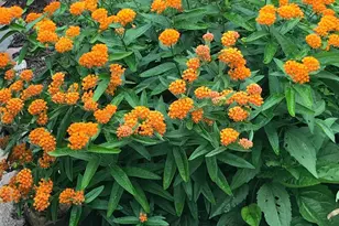 937 Laurel Ave, Saint Paul, MN 55104 - Photo 54