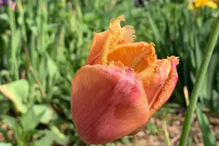 937 Laurel Ave, Saint Paul, MN 55104 - Photo 52