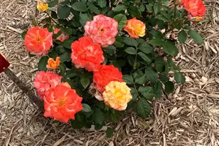 937 Laurel Ave, Saint Paul, MN 55104 - Photo 48