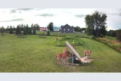 47260 Wintergreen Road, Perham, MN 56573 - Photo 70