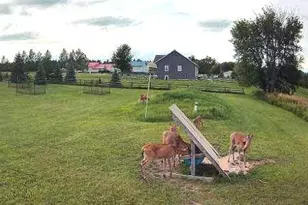 47260 Wintergreen Rd, Perham, MN 56573 - Photo 70