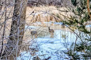 17091 Creek Ridge Trail, Minnetonka, MN 55345 - Photo 38