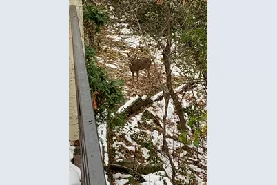 11832 Bren Road, Hopkins, MN 55343 - Photo 52