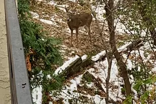 11832 Bren Rd, Hopkins, MN 55343 - Photo 52