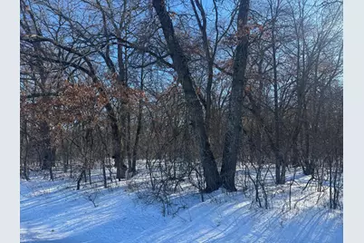 11Xxx 313th Avenue, Princeton, MN 55371 - Photo 4