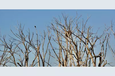 Tbd County Highway 14, Madison, MN 56256 - Photo 14