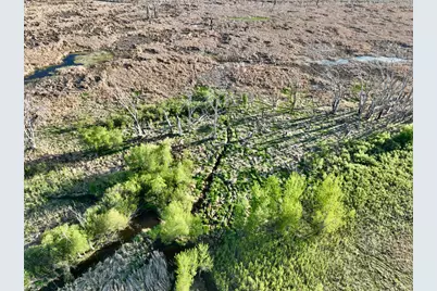 Tbd County Highway 14, Madison, MN 56256 - Photo 10