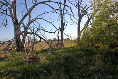 Tbd County Highway 14, Madison, MN 56256 - Photo 4