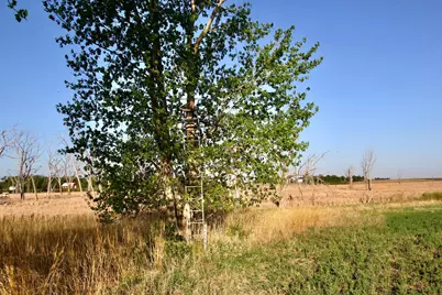 Tbd County Highway 14, Madison, MN 56256 - Photo 16