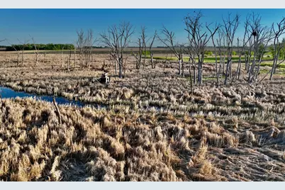 Tbd County Highway 14, Madison, MN 56256 - Photo 8
