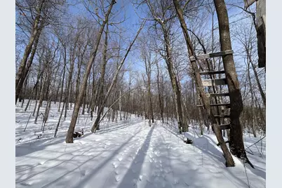 11563 Beaver Drive, Garrison, MN 56401 - Photo 36