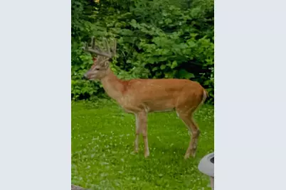 11563 Beaver Drive, Garrison, MN 56401 - Photo 30