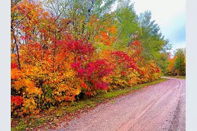 Lot 12 Beaver Drive, Garrison, MN 56401 - Photo 10