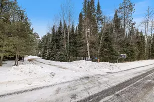 51850 Scenic Hwy, Bigfork, MN 56628 - Photo 42