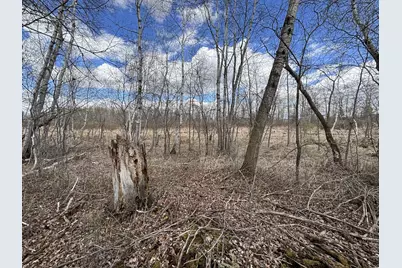 58988 County Highway 50, Deer Creek, MN 56527 - Photo 40