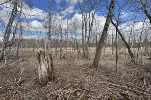 58988 Co Hwy 50, Deer Creek, MN 56527 - Photo 40