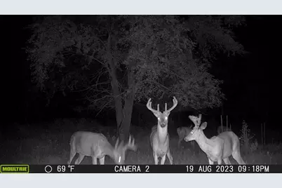 58988 County Highway 50, Deer Creek, MN 56527 - Photo 12