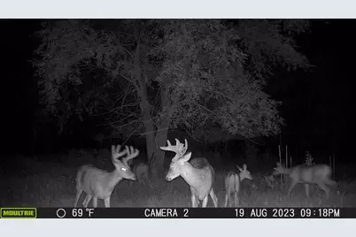 58988 County Highway 50, Deer Creek, MN 56527 - Photo 8