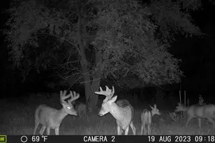 58988 Co Hwy 50, Deer Creek, MN 56527 - Photo 8