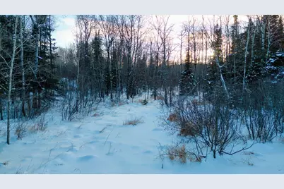 Tbd South Avenue, Aurora, MN 55705 - Photo 4