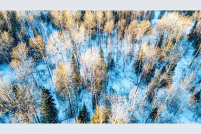 Tbd South Avenue, Aurora, MN 55705 - Photo 8