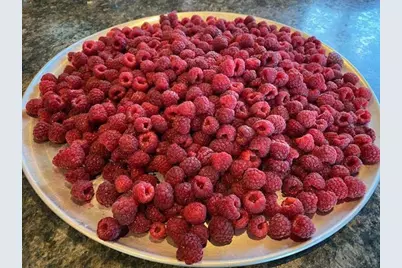 86360 Meyers Olson Road, Bayfield, WI 54814 - Photo 60