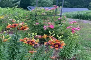 86360 Meyers-Olson Rd, Bayfield, WI 54814 - Photo 56