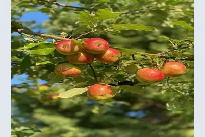 86360 Meyers Olson Road, Bayfield, WI 54814 - Photo 70