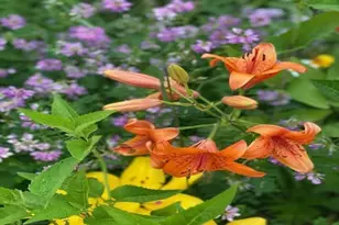 86360 Meyers-Olson Rd, Bayfield, WI 54814 - Photo 64