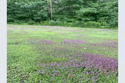 86360 Meyers Olson Road, Bayfield, WI 54814 - Photo 66