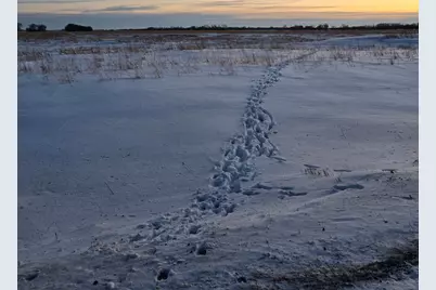 Tbd County Highway 32, Gary, MN 56545 - Photo 1