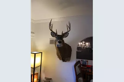 13.50 Acres Hwy 10, Plum City, WI 54761 - Photo 14