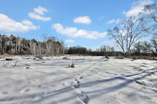 1241 Holly Dr E, Hugo, MN 55038 - Photo 46