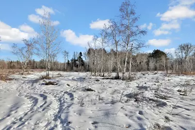 1241 Holly Drive E, Hugo, MN 55038 - Photo 44