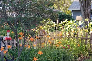 408 17th St E, Hastings, MN 55033 - Photo 26