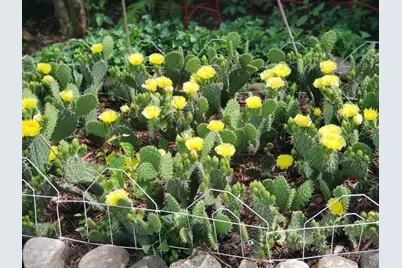 408 17th Street E, Hastings, MN 55033 - Photo 28
