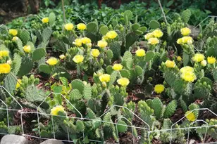 408 17th St E, Hastings, MN 55033 - Photo 28