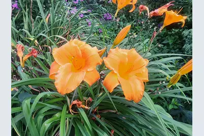 408 17th Street E, Hastings, MN 55033 - Photo 30