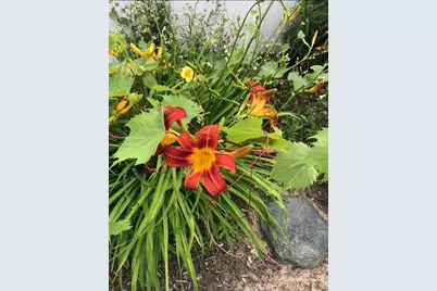 5530 Euclid Way, Farmington, MN 55024 - Photo 42