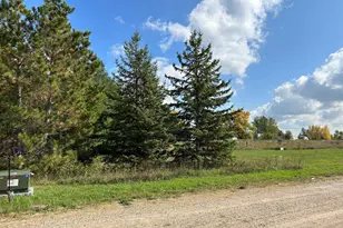 26807 Lidstrom Rd, Detroit Lakes, MN 56501 - Photo 1