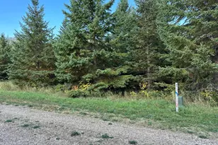 26797 Lidstrom Rd, Detroit Lakes, MN 56501 - Photo 1