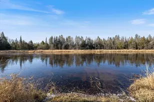 1131 Prairie River Trail, Grand Rapids, MN 55744 - Photo 44